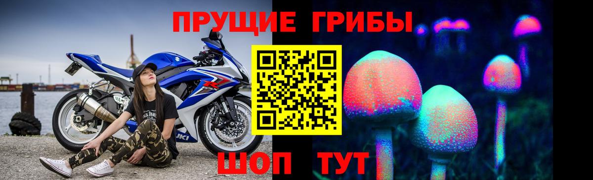 Псилоцибиновые грибы мицелий Гай