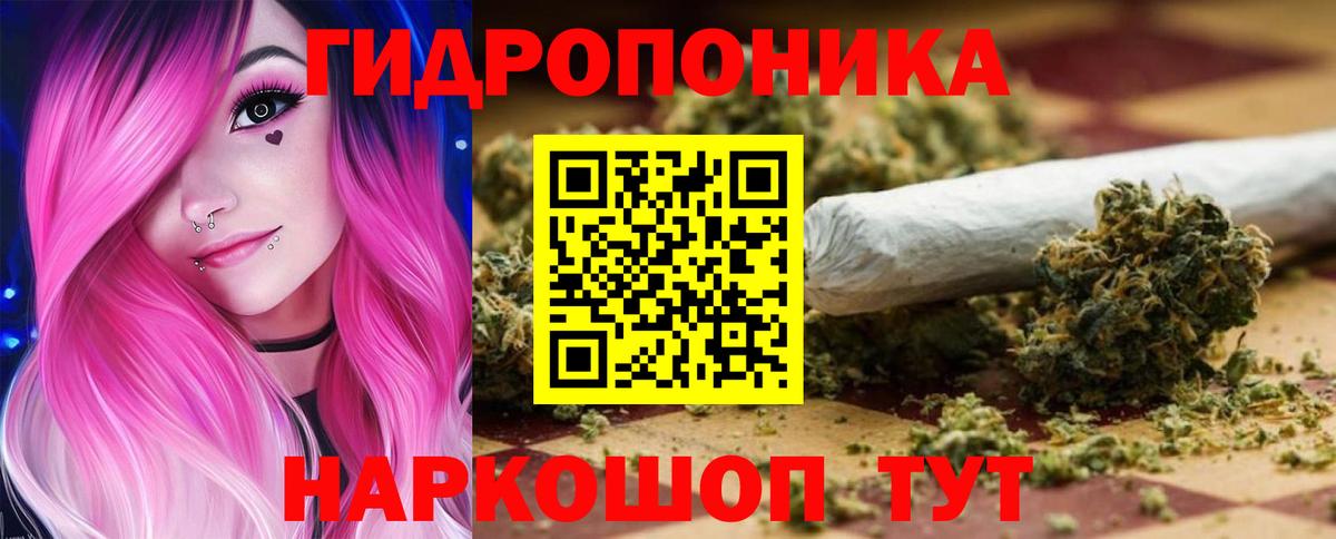 Каннабис конопля Гай